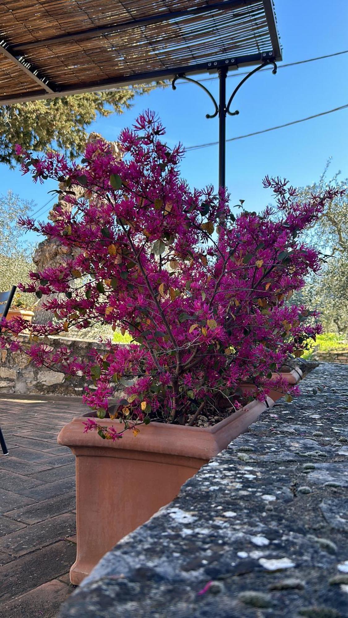 Borgo A Monti Di Sotto Vila Gaiole in Chianti Exterior foto